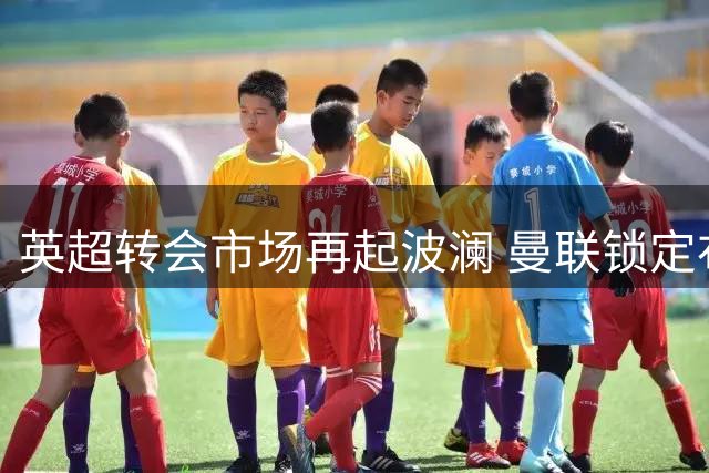 英超转会市场再起波澜 曼联锁定布伦特福德神锋伊戈尔·蒂亚戈